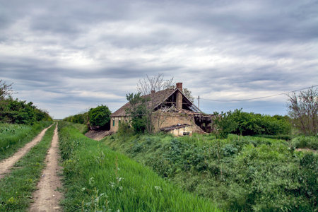Old abandoned and ornate farm in Vojvodina.の写真素材
