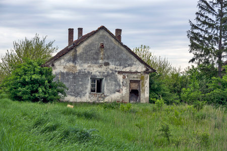 Old abandoned and ornate farm in Vojvodina.の写真素材