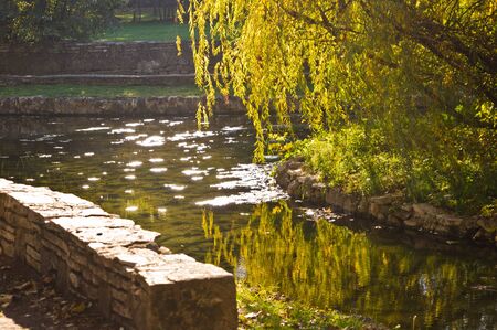Autumn morning sun reflections on a small lake surface in a park