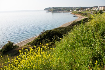 Small coastal village at early morning in Greeceの写真素材