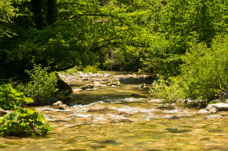 River Trenjica flow thru the gorge, west Serbiaの写真素材