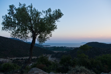 Mountains, olive trees, and islands at sunset, Macedonia, Greeceの写真素材