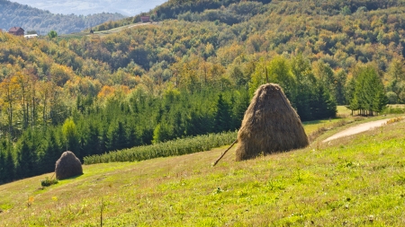 Viewpoint on a landscape of mount Bobija, hills, haystacks, meadows and colorful trees, west Serbiaの写真素材