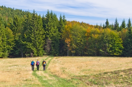 Hiking thru meadows and colorfull forests of mount Bobija, west Serbiaの写真素材