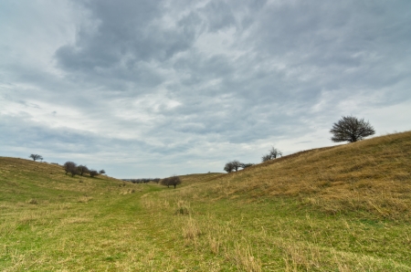 Dark clouds over the prairie path surrounded by a small hills and rare trees, north Serbiaの写真素材
