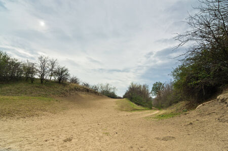 Prairie terrain surrounded by a small sand dunes, Deliblato, north Serbiaの写真素材