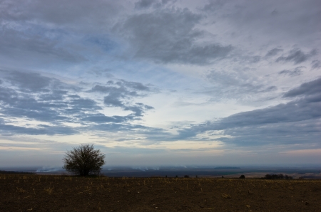 Heavy clouds over the flat prairie agricultural land with a lonely tree at late autumn, north Serbiaの写真素材