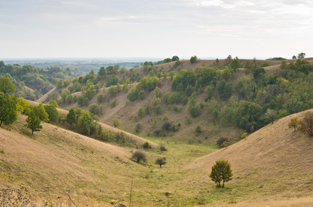 Valley between small hills covered with yellow grass, north Serbia
