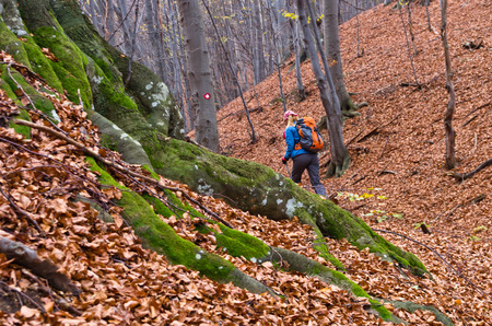 Young girl hiking alone through the forest in Homolje mountains, east Serbiaの写真素材