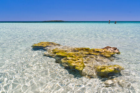 Amazing beauty of shallow crystal clear waters at Elafonisi beach, island of Crete, Greeceの写真素材