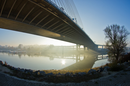 Misty sunrise on a river bank under cable bridge, Belgrade, Serbiaの写真素材