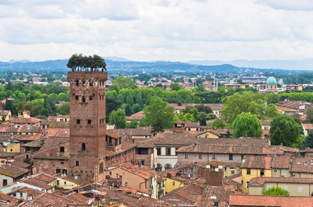 Cityscape of Lucca with Guinigi tower in front, Tuscany, Italyの写真素材