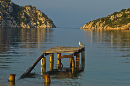 Seagull on an old rusty dock at sunny morning, Porto Koufo, Greeceの写真素材