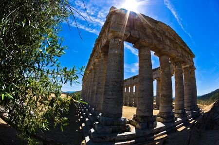 Old greek temple and olive tree at Segesta Sicily Italyの写真素材