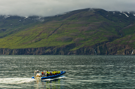 Whale watching tour from fast zodiac boat near Husavik, Icelandの写真素材