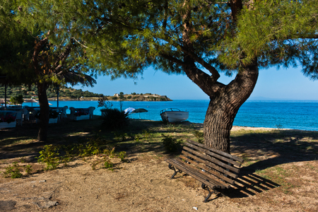 Bench at the shade of pine tree at beach in Sithonia, Greeceの写真素材