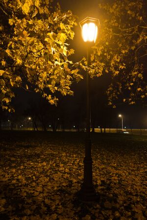 Old fashioned lantern at autumn evening in Kalemegdan park, Belgrade, Serbiaの写真素材