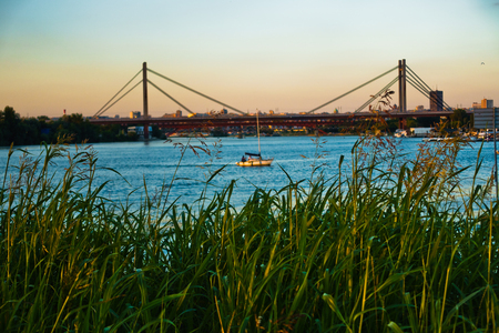 Railroad cable bridge over Sava river at golden hour in Belgrade, Serbiaの写真素材