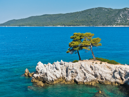 Pine tree on a rock over crystal clear turquoise water, Cape Amarandos at Skopelos island, Greeceの写真素材