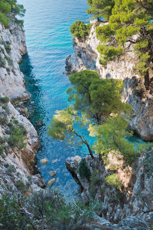 Pine trees on a rock over crystal clear turquoise water near Cape Amarandos at Skopelos island, Greeceの写真素材