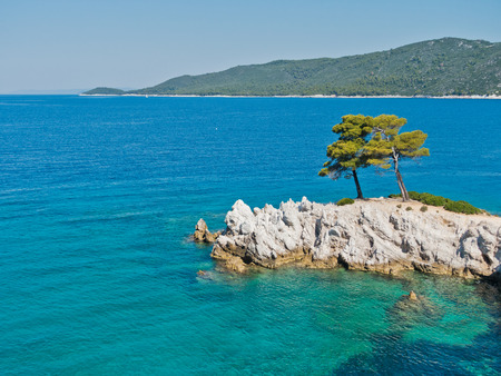 Pine tree on a rock over crystal clear turquoise water, Cape Amarandos at Skopelos island, Greeceの写真素材
