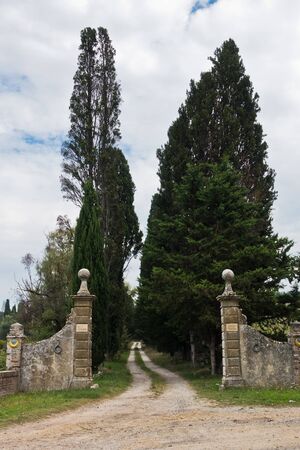 Hiking backroads of Tuscany, resting in shadow of cypress trees at villa entrance, near Siena, Italyの写真素材