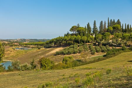 Hiking hills, backroads and vineyards at autumn, near San Gimignano in Tuscany, Italyの写真素材