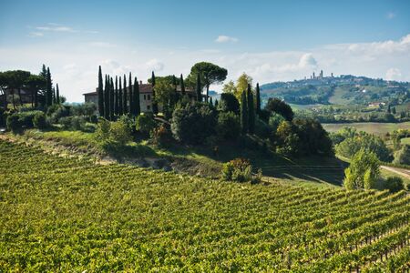 Hiking hills, backroads and vineyards at autumn, near San Gimignano in Tuscany, Italyの写真素材