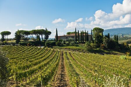 Hiking hills, backroads and vineyards at autumn, near San Gimignano in Tuscany, Italyの写真素材