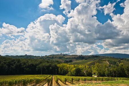 Hiking hills, backroads and vineyards at autumn, near San Gimignano in Tuscany, Italyの写真素材