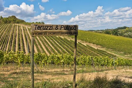 Hiking hills, backroads and vineyards at autumn, near San Gimignano in Tuscany, Italyの写真素材