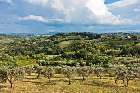 Panoramic view on a hills, vineyards, olive and cypress trees, Tuscany landscape around San Gimignano, Italyの写真素材