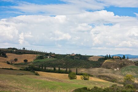 Typical rural landscape panorama at south Tuscany, Siena province, Tuscany, Italyの写真素材
