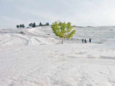 Details of white carbonate mineral rocks made by water flow at Pamukkale near archelological site Hierapolis, Denizli, Turkeyの写真素材