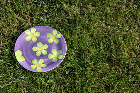 Violet floral porcelain plate on the green grassの写真素材