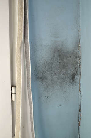 Mold on the wall by the window with cracked wallの写真素材