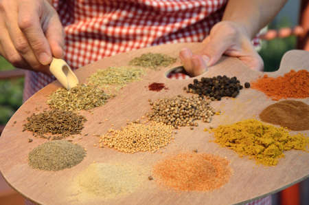Different spices on painter palette in cook's hands