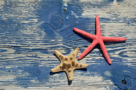 Red and beige sea star on navy blue wooden beach bench of cracked surfaceの写真素材