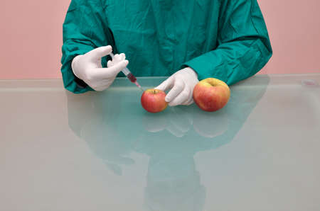 Scientist holding syringe and injecting chemicals into small apple and having as a result a bigger oneの写真素材