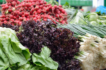 Fresh organic lettuce, onion and radishes at green market in spring