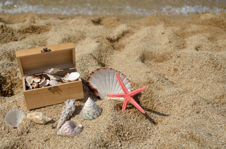 Red starfish and lot of seashells in wooden chest and around it, on sandy beach with sea in...