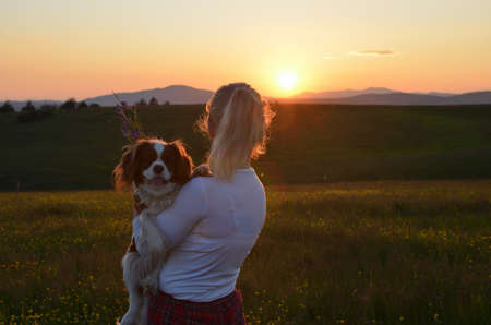 Woman holding her Cavalier King Charles Spaniel Blenheim dog and looking at hills in landscape in sunsetの写真素材
