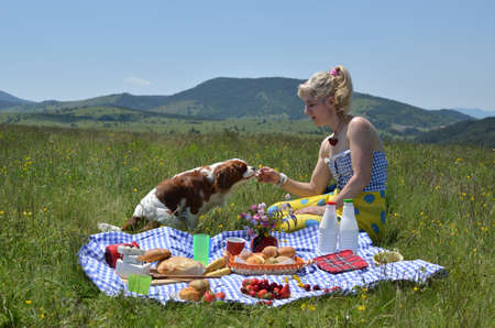 Dog is smelling yellow flower in womans hand on a picnic in natureの写真素材