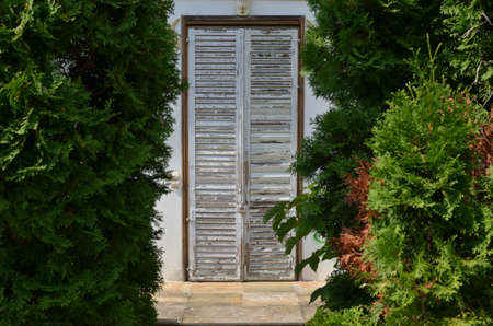 Door between the trees, closed with old white blinds, locked with padlockの写真素材