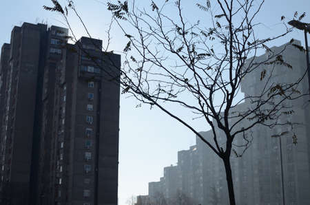 Bare tree top and modern residential buildings with many apartments on foggy morning in fallの写真素材