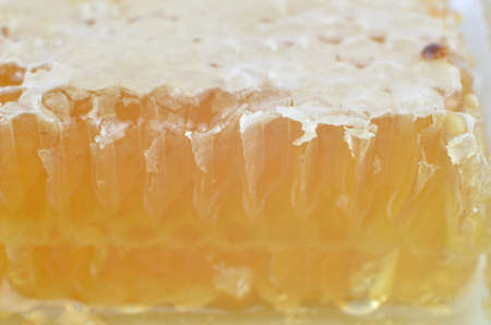 Macro of fresh honeycomb cross section with honey suitable for backgroundの写真素材