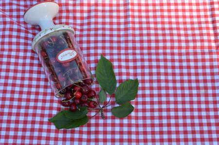 Decorated jar of spilled fresh cherries on a plaid tablecloth in a gardenの写真素材