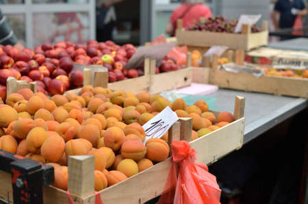 Boxes with apricots on green market desk in springの写真素材