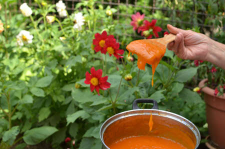 Still hot just made apricot jam in fron of garden flowersの写真素材