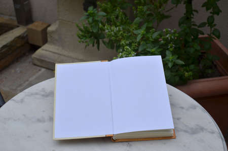 Open book with blank pages, set on a garden table